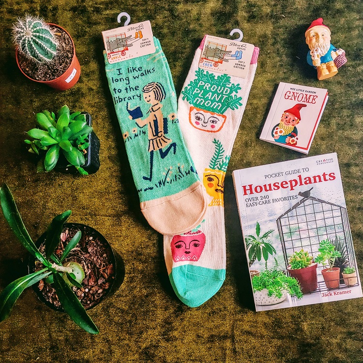 Gifts, Socks, Succulents, Cacti, Mini Garden Gnome, Guide to Houseplants Book